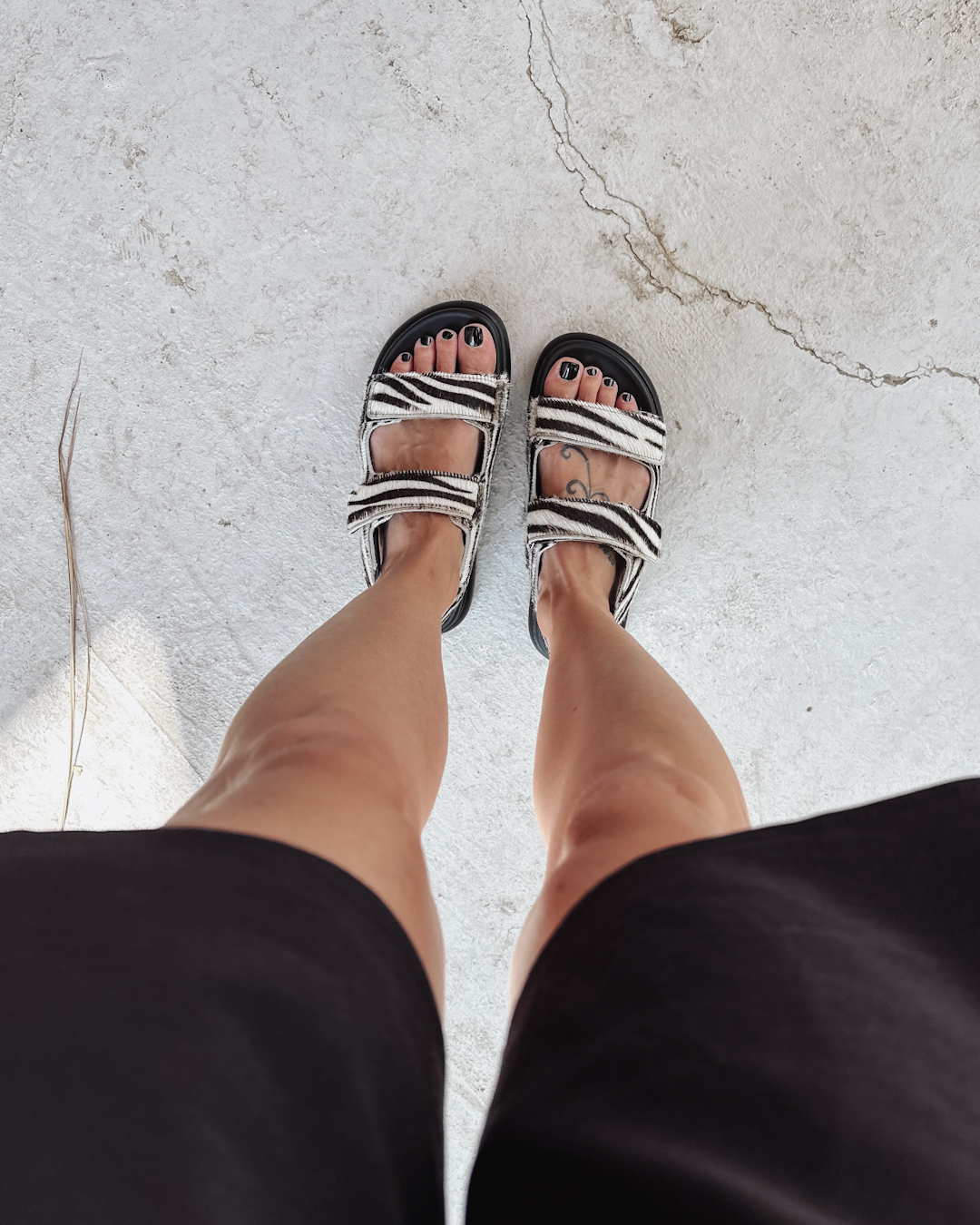 Urban Lover zebra